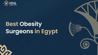 Best Obesity Surgeons in Egypt - Vital Global Care